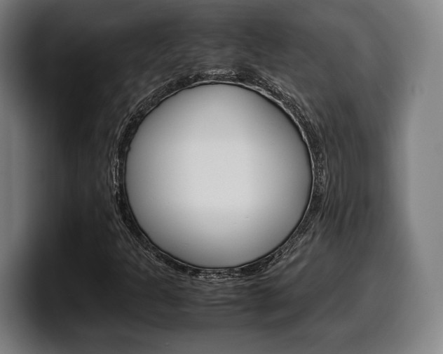 X0000099511301200805151002