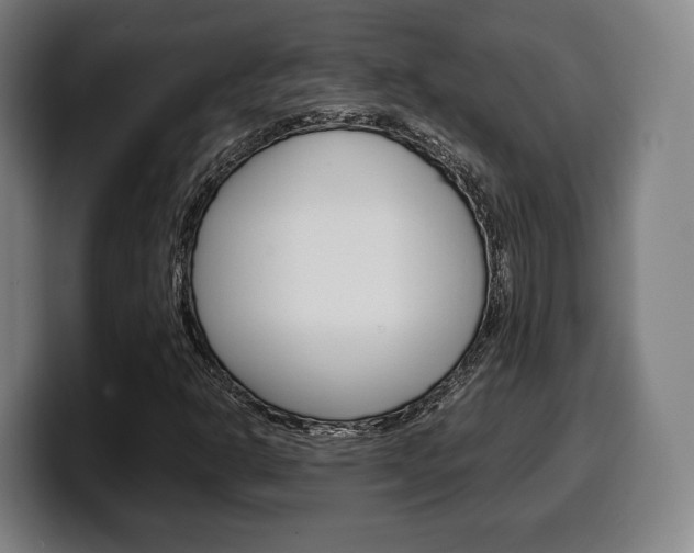 X0000099511302200805151002