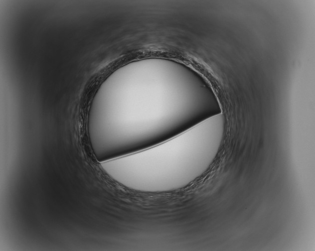 X0000099511303200805151002