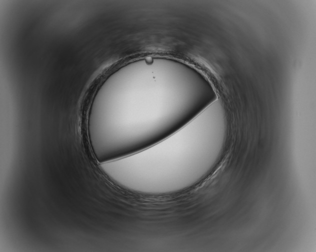 X0000099511307200805151002