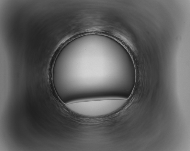X0000099511308200805151002