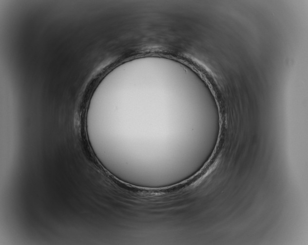 X0000099511309200805151002