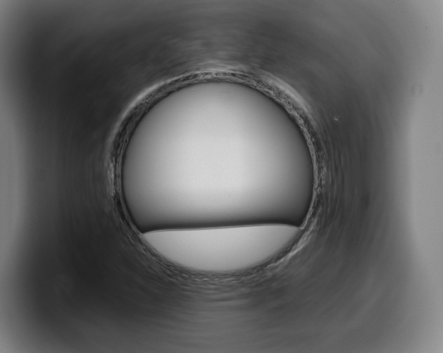 X0000099511310200805151002