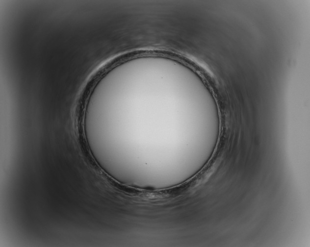 X0000099511311200805151002