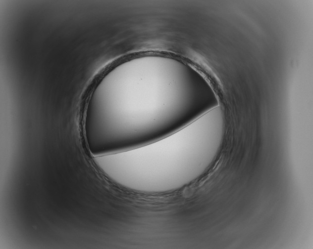 X0000099511312200805151002