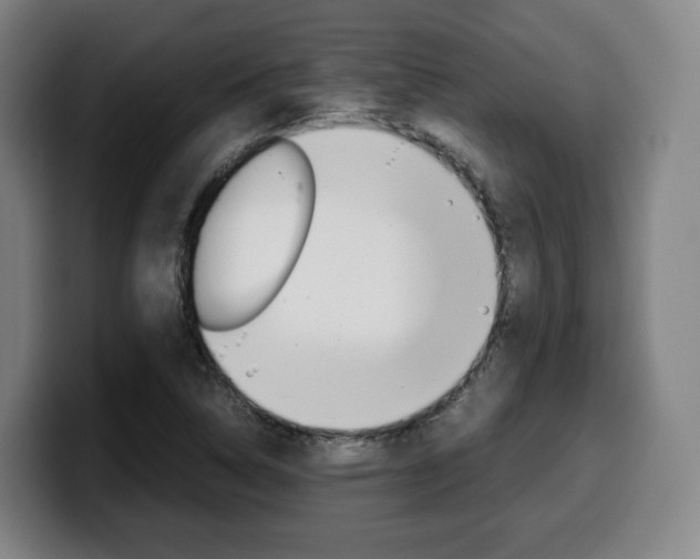 X0000099511314200805151002
