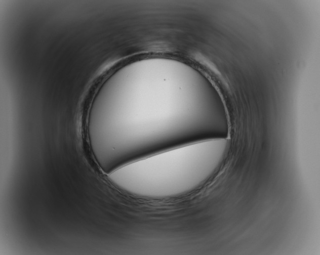 X0000099511315200805151002