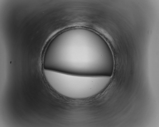 X0000099511316200805151002