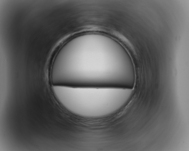 X0000099511318200805151002