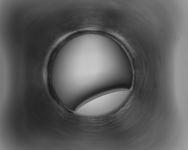 X0000099511319200805151002
