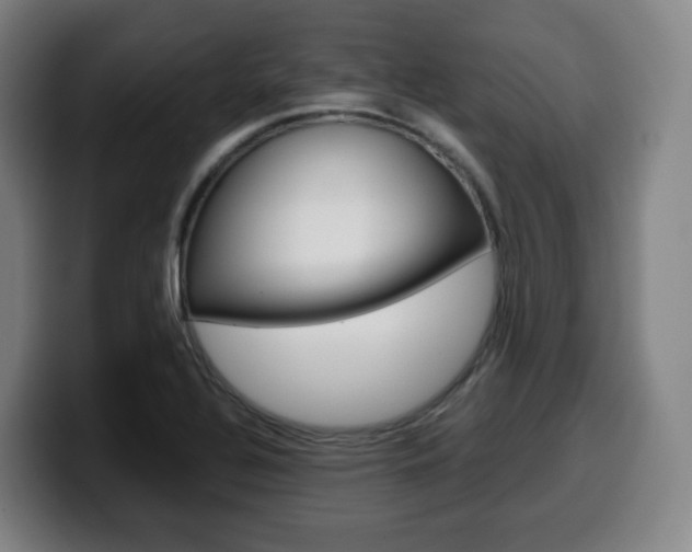 X0000099511320200805151002