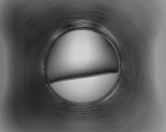 X0000099511321200805151002