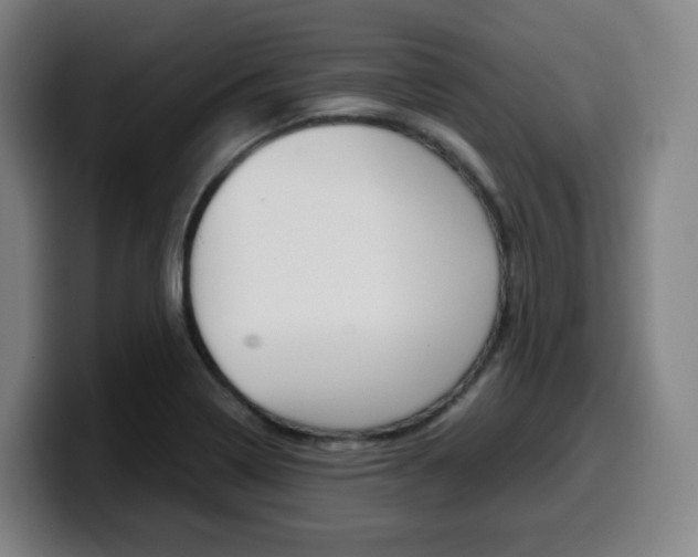 X0000099511322200805151002