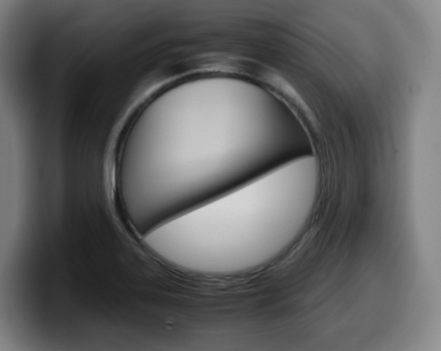 X0000099511323200805151002