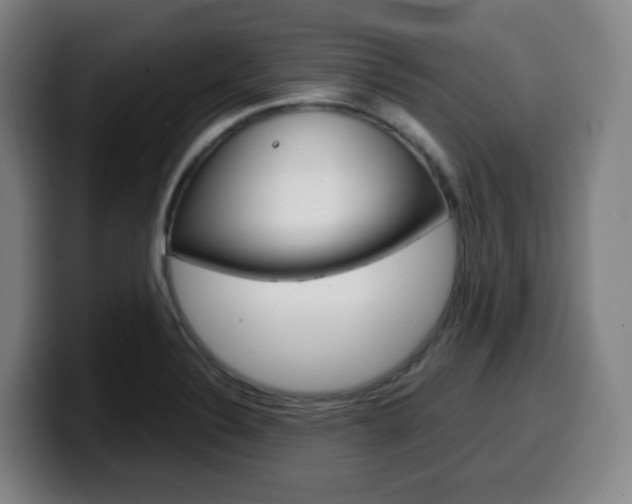 X0000099511324200805151002