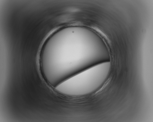 X0000099511325200805151002