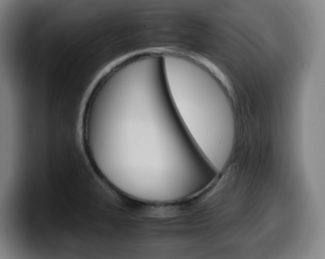 X0000099511327200805151002