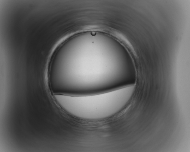 X0000099511328200805151002