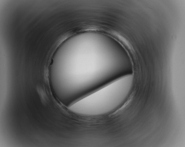 X0000099511329200805151002