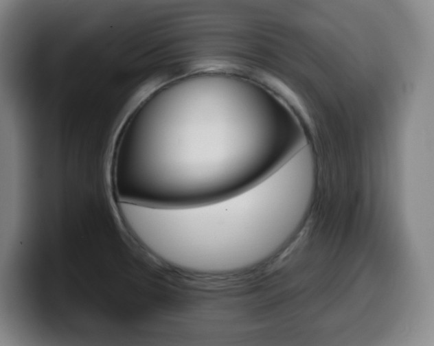 X0000099511330200805151002