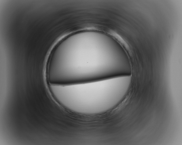 X0000099511331200805151003