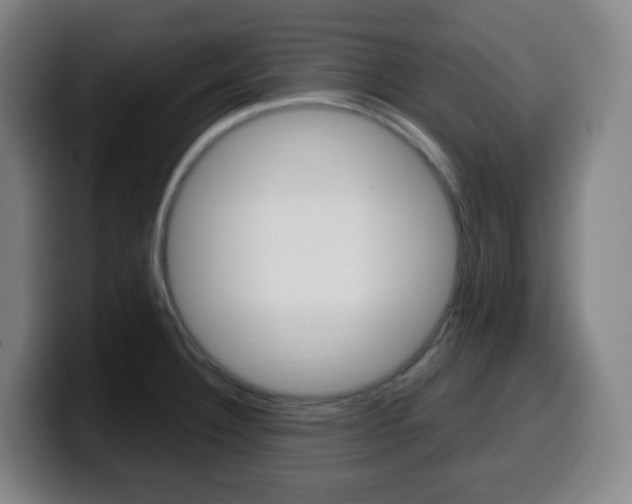 X0000099511332200805151003