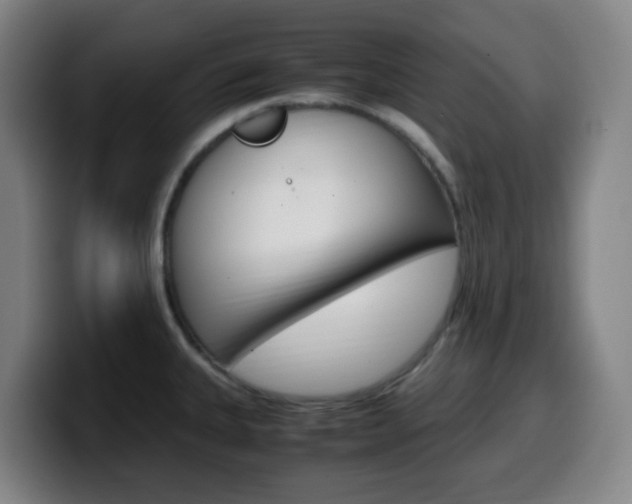 X0000099511335200805151003