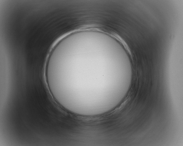 X0000099511336200805151003