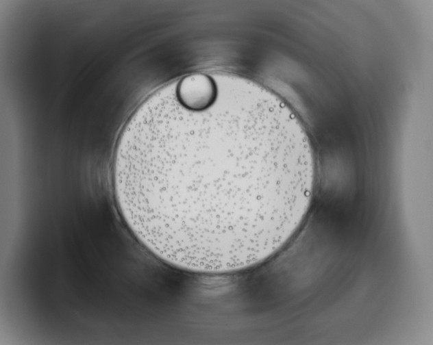 X0000099511338200805151003