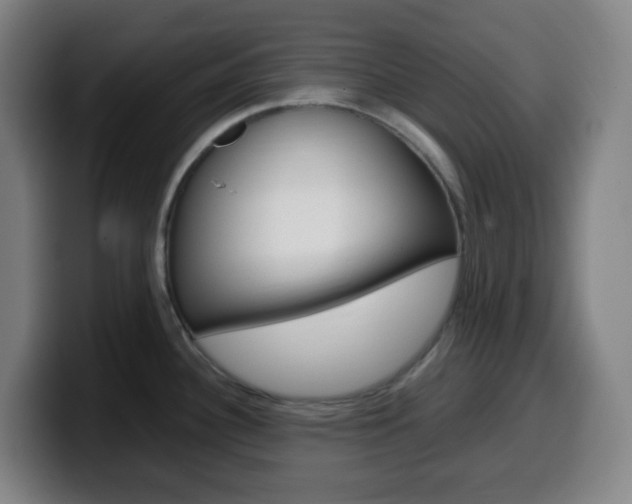X0000099511340200805151003