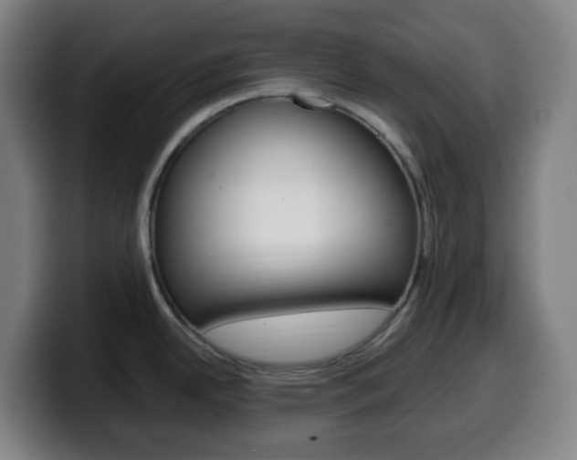 X0000099511342200805151003