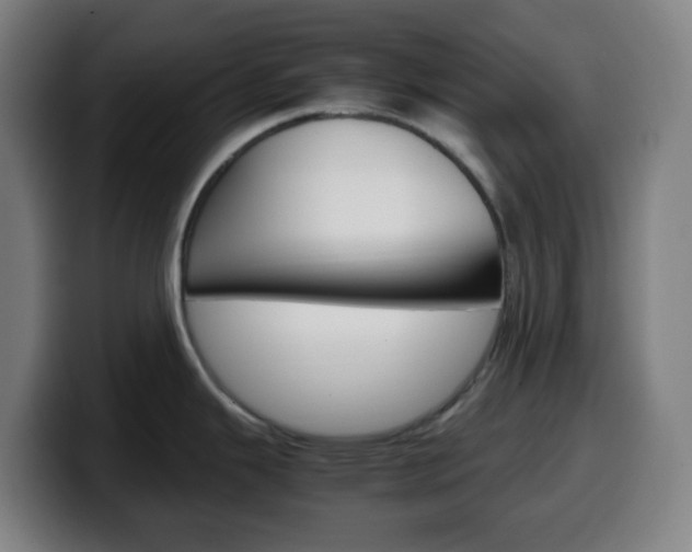 X0000099511343200805151003