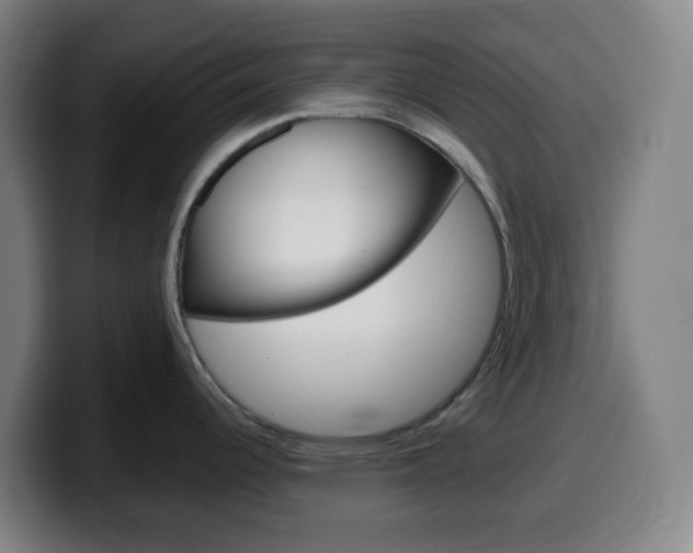 X0000099511344200805151003