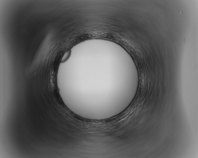 X0000099511346200805151002