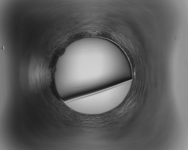 X0000099511347200805151002