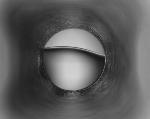 X0000099511348200805151002