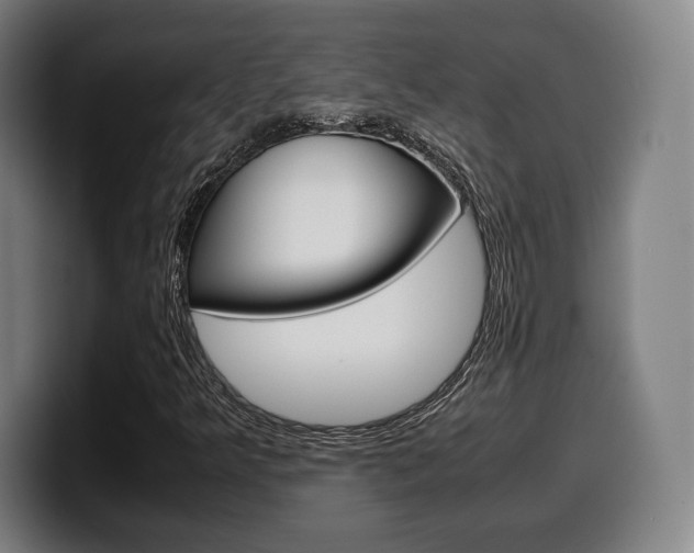 X0000099511349200805151002