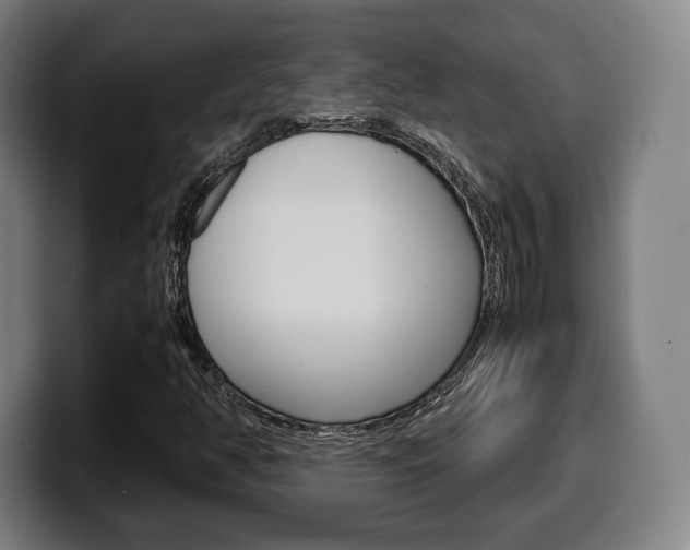 X0000099511350200805151002