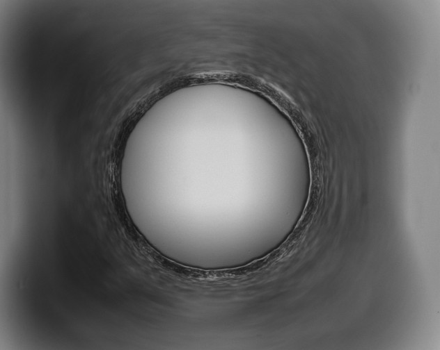 X0000099511351200805151002
