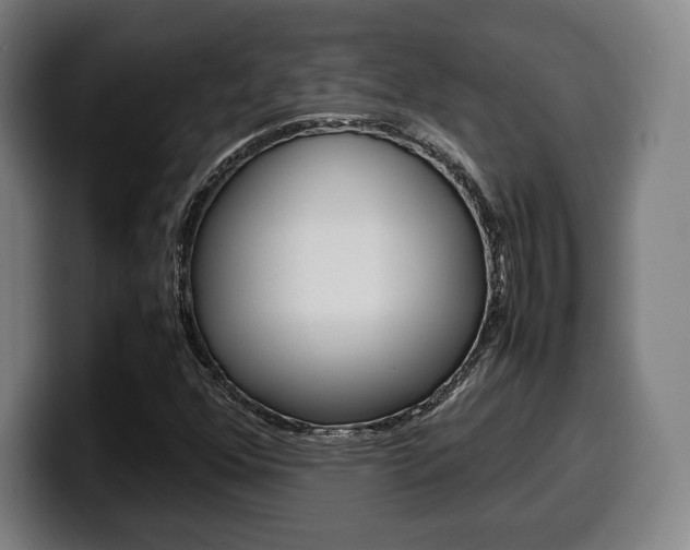 X0000099511352200805151002