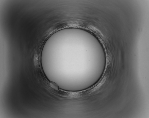 X0000099511353200805151002