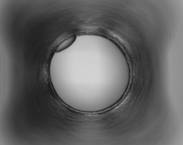 X0000099511354200805151002