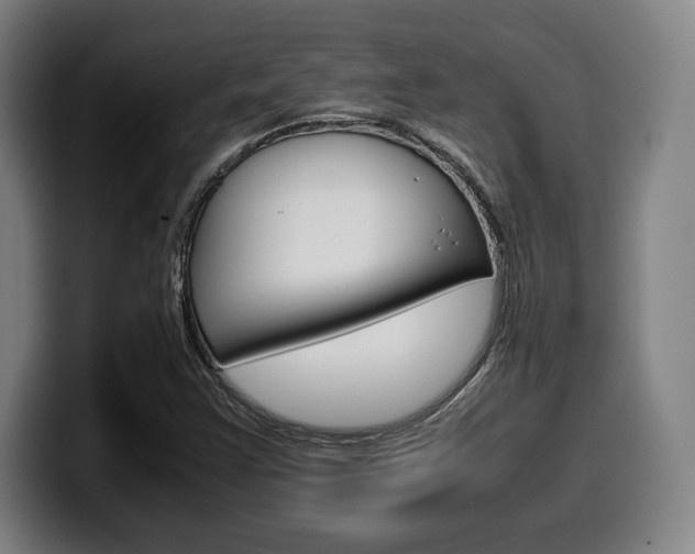 X0000099511355200805151002