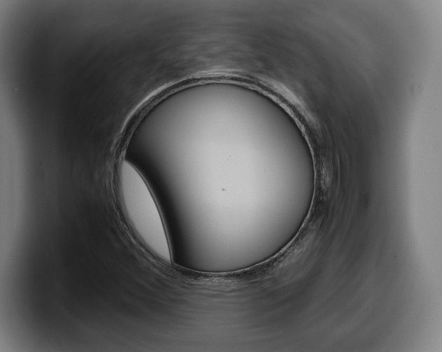 X0000099511356200805151002