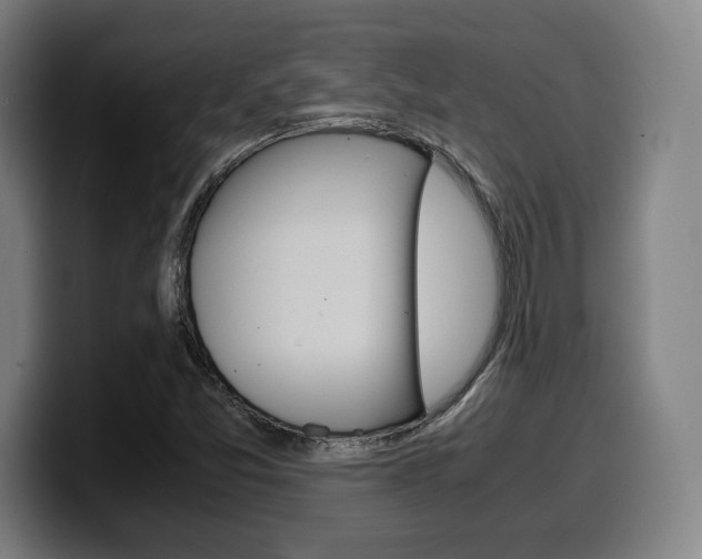 X0000099511357200805151002