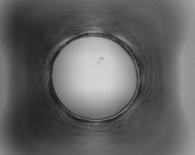 X0000099511359200805151002