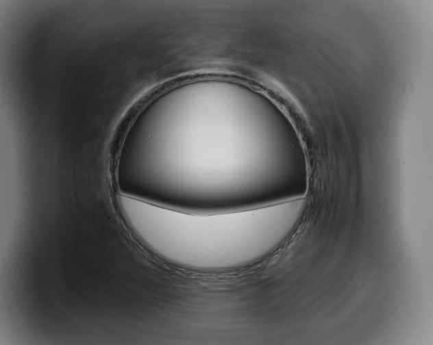 X0000099511360200805151002