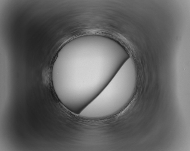 X0000099511361200805151002