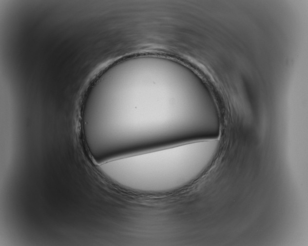 X0000099511363200805151002