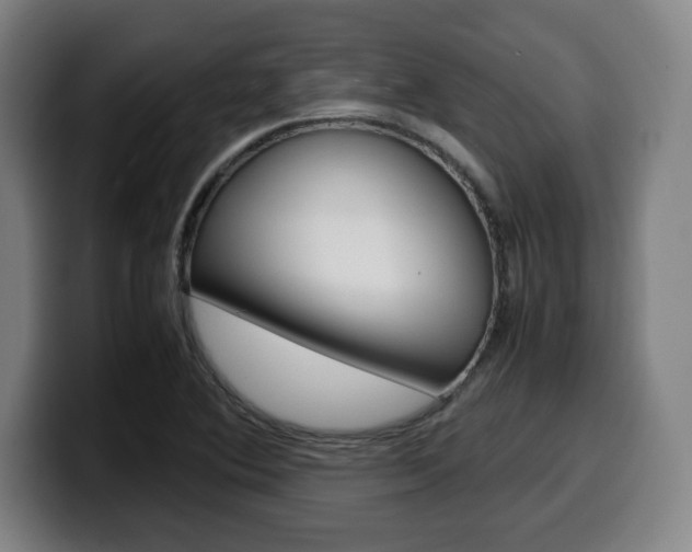 X0000099511364200805151002